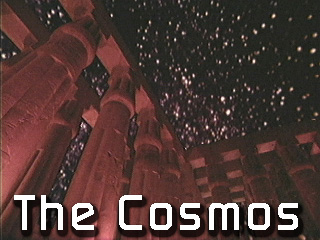 cosmos.jpg