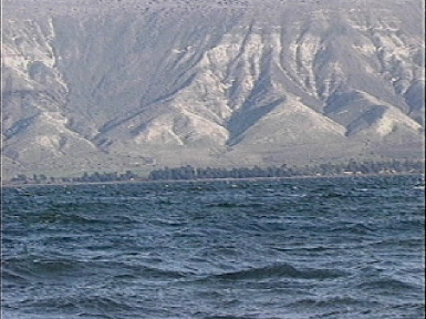 kinneret.jpg